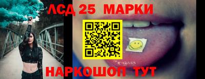 шишки Кандалакша
