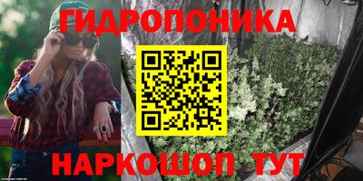 шишки Кандалакша