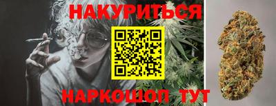 шишки Кандалакша