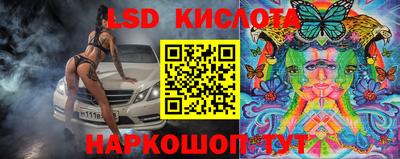 шишки Кандалакша