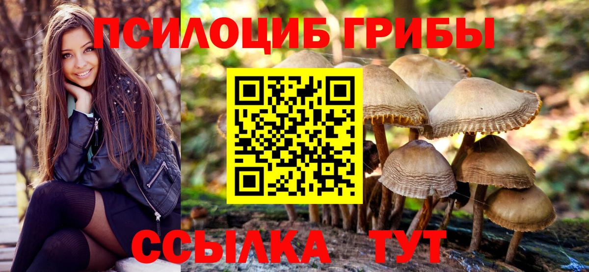 Псилоцибиновые грибы GOLDEN TEACHER Лениногорск