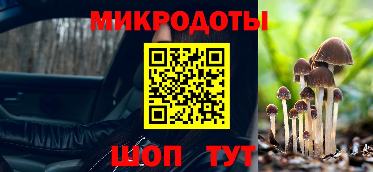 Псилоцибиновые грибы GOLDEN TEACHER  Галлюциногенные грибы Cubensis  Лениногорск  Вход с VPN 