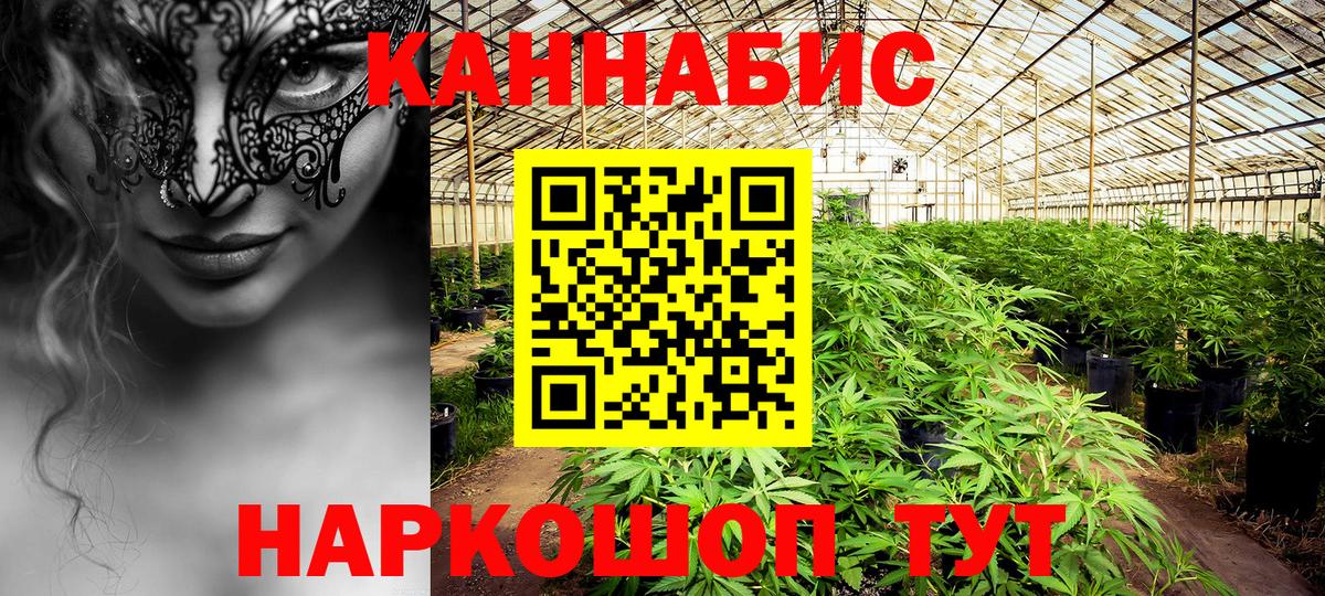 Бошки марихуана марихуана  Марихуана Amnesia  МАРИХУАНА марихуана  Вход с VPN  Лениногорск 